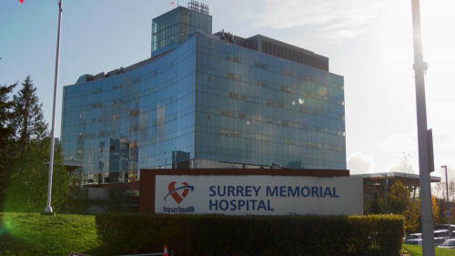 'Blame to go around': BC United accepts role in Surrey hospital crisis while pledging investment