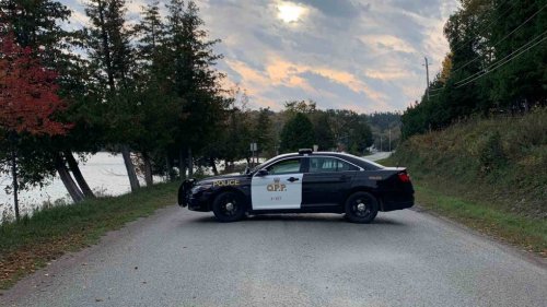 Police asking residents of Billings Township, Ont. to shelter in place