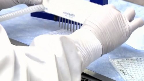 33 new COVID-19 cases reported by MLHU on Thursday