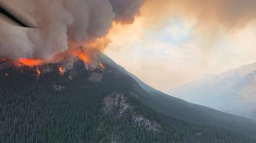 Power Lines Supplying Jasper, Alta. Being Assessed After Wildfire ...