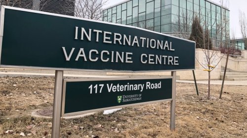 COVID-19 herd immunity not a 'magic number' that will end pandemic, Saskatoon virologist says