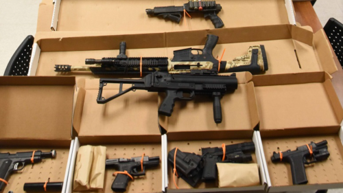 Man arrested after police seize guns, detonate homemade explosives in Port Alberni, B.C.