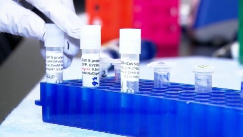 Waterloo Region confirms first cases of COVID-19 variant ...