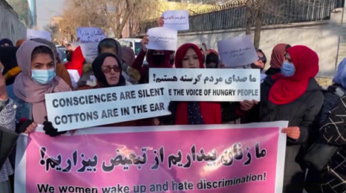 Human rights groups concerned after Afghan women allegedly abducted after protest