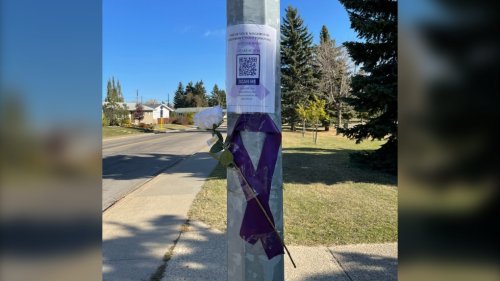Purple ribbons, white roses to be placed around Edmonton to honour victims of opioids