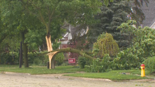 City of Kitchener launches cleanup plan following weekend storm