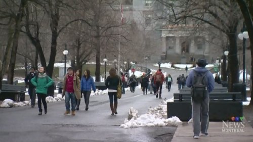 McGill social work students plan to strike from in-person classes, stay online
