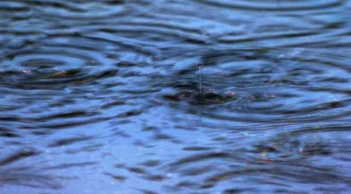 'Atmospheric river' puts Metro Vancouver on flood watch