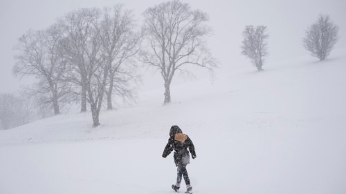 Snowfall, Winter Storm Warnings Issued For Nova Scotia | Flipboard