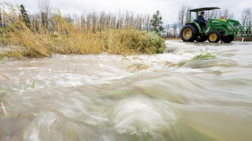 Warning: Liquid manure may be in the well water in parts of B.C.