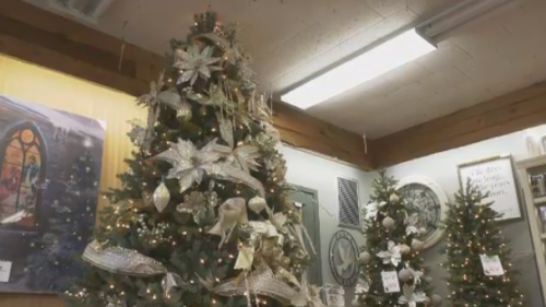 Tree shortage may impact festive decorating plans