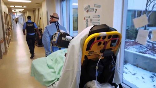 Triage protocols made public by Alberta Health Services