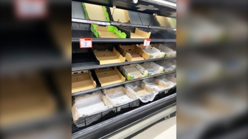 Kenney says border restrictions creating 'crisis' of empty shelves in grocery stores