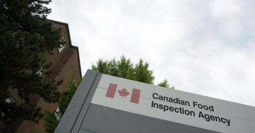 Food inspection agency to cut more than 1,300 jobs, says union | Flipboard