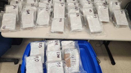 Over 60 charges laid in transport of cocaine across Ontario border