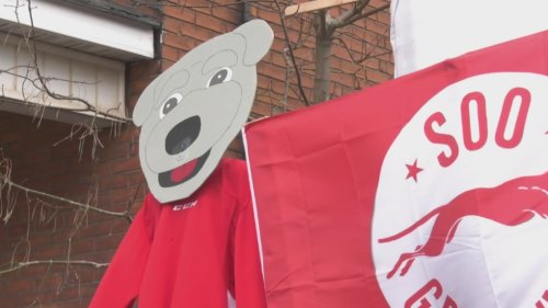 Soo Greyhounds paint their town red