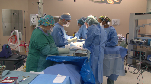 Orthopaedic surgeries down 25% in B.C. public hospitals as private sector picks up slack