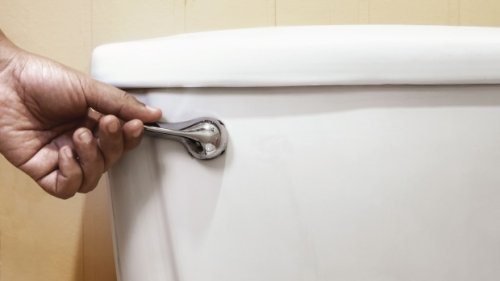 Canadian snowbird stuck with $5,488 water bill because her toilet leaked while she was away