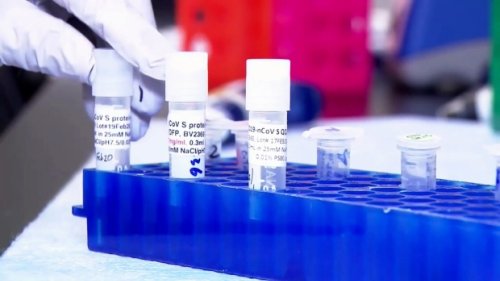 U.K. variant of COVID-19 detected on Manitoba First Nation