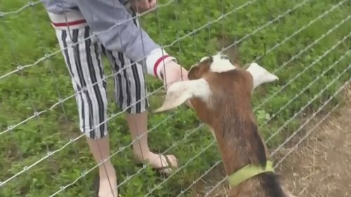 Local outdoor attractions get ready for more freedom next week