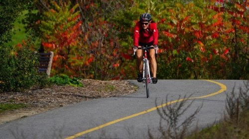 COVID-19 in Ottawa: Fast Facts for Oct. 24, 2021
