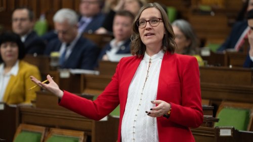 This calm and cutting Liberal minister and mom is looking to give the Conservatives a 'time out'