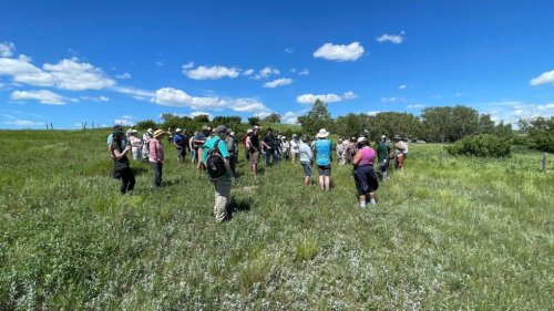 A field of dreams: Sask. residents purchase grasslands for preservation