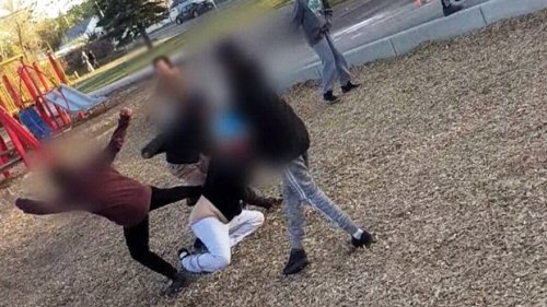 Mother attacked at Saskatoon park says she feared for daughter's life