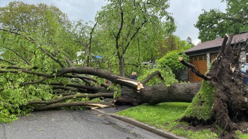 One person reported dead in Ottawa storm