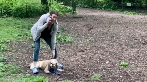 White woman who called police on a Black man in Central Park sues over termination