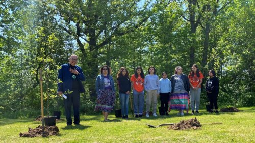 Apple trees planted at former residential school in Brantford