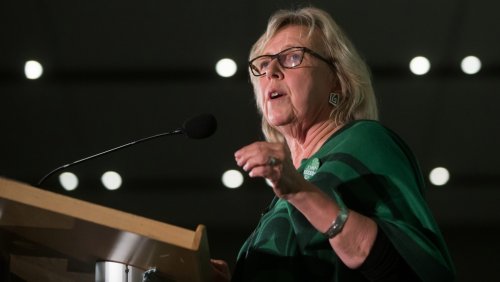 Elizabeth May joins Green leadership race, says party has been in disarray