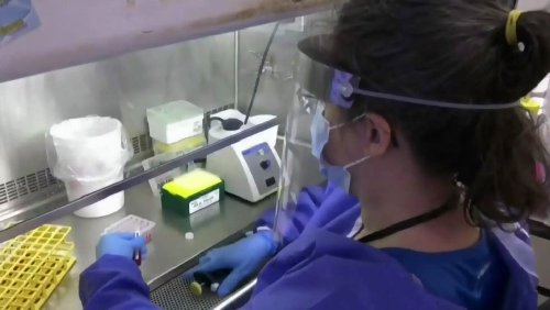 Newfoundland and Labrador reports two more deaths from COVID-19, eight new cases