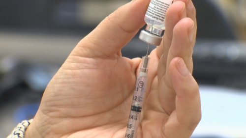 Most COVID-19 cases in Ontario, underground haircuts, missing snake: Top stories of the week