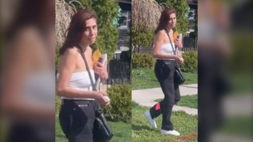 Porch pirate suspect sought in Walkerville area