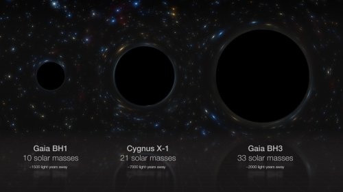 A wobble reveals the most massive stellar black hole in our galaxy