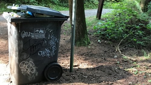 Calls to install wildlife-proof garbage bins in Stanley Park