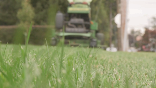 Should you switch to battery-powered lawn tools? Expert provides advice
