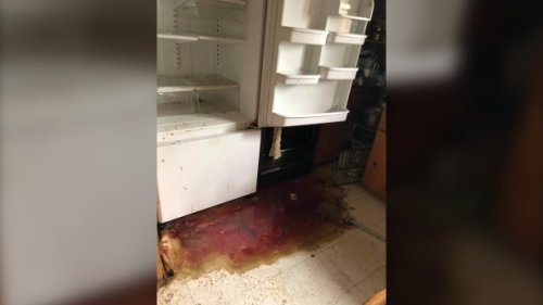 'Millions of flies': Food spoiling in evacuated First Nations creating mess