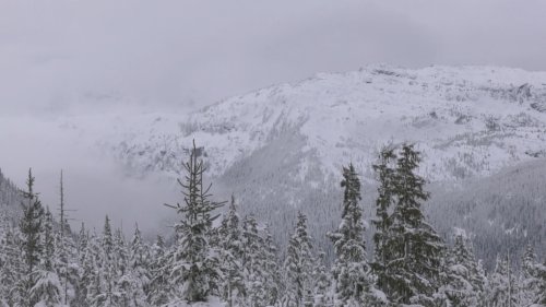Avalanche danger 'high' on Vancouver Island as rain warnings and flood watches remain active
