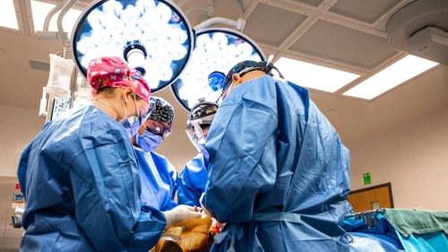 More than 10,000 patients in Waterloo Region impacted by pandemic surgical backlog