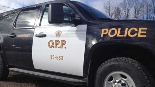 K9 unit locates missing girl in Tiny Township forest