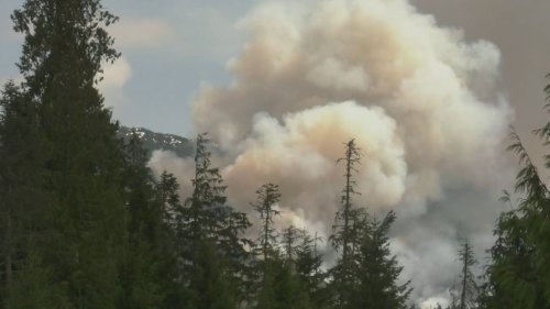 Wildfire near Sayward, B.C. under control, new out-of-control fire found