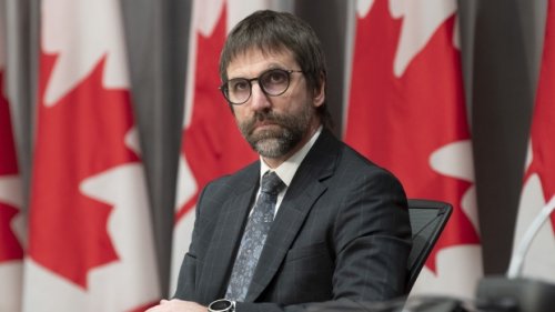 Minister suggests with Bill C-10, regulations could apply to accounts with a large enough following