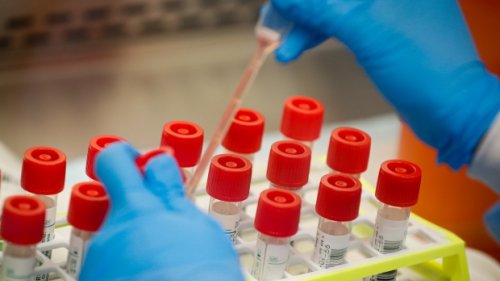 Ontario reports more than 500 new COVID-19 cases for fourth straight day