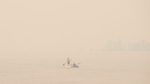 Researchers report link between exposure to wildfire smoke, increased COVID-19 cases