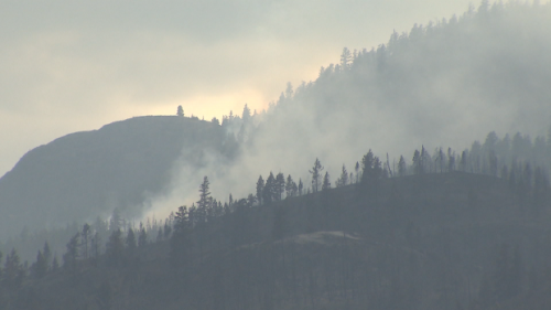 B.C. wildfire count nears 250 but cooler temperatures, light rain bring some relief