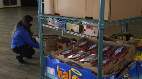 Metro Vancouver fresh food bank sees 10-fold surge in demand during pandemic
