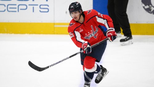 Sask.'s Ethan Bear enters NHL/NHLPA player assistance program
