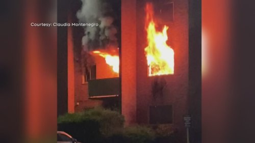 One person is dead, an entire building displaced in Collingwood Ont. apartment fire